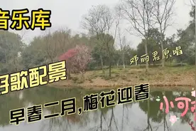 一首好听动人的歌曲《百鸟朝凤》邓丽君原唱 纯真娇俏 耳朵怀孕视频封面