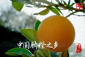 今晚20:00，CCTV4，看万古寺村谱写《橘颂》新篇章！视频封面