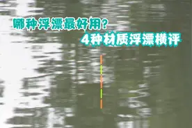 哪种浮漂最好用？4种材质横评各种优缺点全在这里，别再用错了视频封面