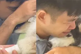 主人不忍高龄狗狗病痛为它"安乐死" 临别时痛哭紧搂画面令人心碎视频封面