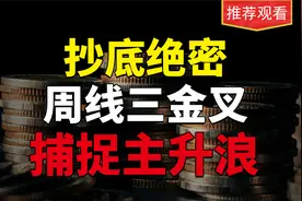 赵老哥亲传，周线三金叉，坐稳主升浪，想不启动都难！散户必看视频封面
