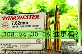 308弹vs不朽传奇30-06子弹，威力对比实测视频封面