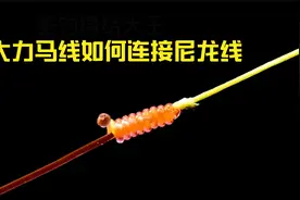 不同材质的鱼线连接结，大力马线连接尼龙线