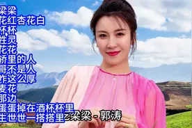刘妍/郭涛/马美如陕北情歌精选12首联唱