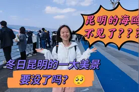 昆明冬日美景，飞越万里而来的红嘴鸥，为什么今年的数量那么少？视频封面