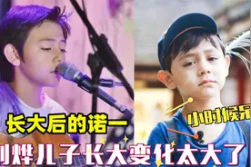 刘烨儿子诺一长大后对比，镜头中法语随意切换！短短几年判若两人视频封面
