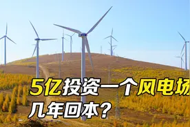 详解风力发电机工作原理，叶子转那么慢，一座风电场几年才回本？视频封面