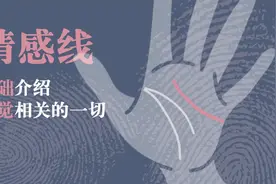 情感线基础介绍。情感线是与感觉有关的一切的代表。#手心的秘密视频封面