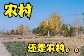 农村还是农村，我们这的北方农村秋景。。。。视频封面