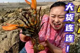 礁石区的海货太多了！小章遇到像龙一样的一群鱼！收获颇丰！视频封面