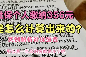 私营企业社保，个人缴纳356元是咋计算出来的？实例解析社保缴费视频封面