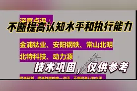 点评：金浦钛业 安阳钢铁 常山北明 北特科技 动力源，技术巩固视频封面