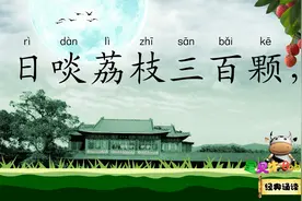 食荔枝 日啖荔枝三百颗 不辞长作岭南人 宝贝牛经典诵读 北宋苏轼视频封面