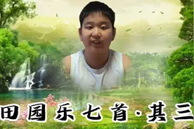 每天一首诗词 领略中华诗词之美 王维《田园乐七首·其三》视频封面