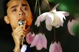 人间烟火——陈汝佳经典歌曲视频封面