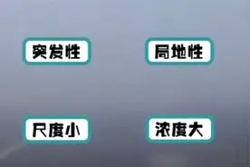高速公路上的“流动杀手”——看，团雾是如何“吃人”的！视频封面