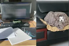 女子因单位太冷把羽绒服让给狗子穿:它感冒得花万八千 我二百就够视频封面