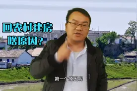 很多年轻人回农村建房，到底是什么原因？农村大哥分析的很有道理视频封面