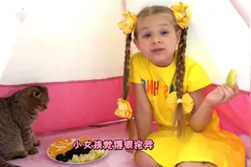 小女孩家里的猫非常奇怪，给小猫喂食物它从来就不吃，这是为什么视频封面