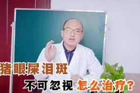 猪群出现眼屎泪斑，不及时治疗会影响猪群健康，你家的猪有吗？视频封面