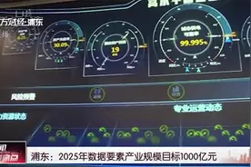浦东：2025年数据要素产业规模目标1000亿元视频封面