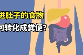 吃进肚子的食物，如何转化成粪便？一分钟带你了解消化系统视频封面