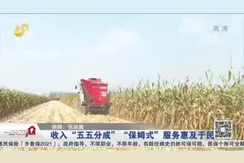 菏泽成武创新"五五分成"模式，耕地全程托管，农民当起"甩手掌柜"视频封面