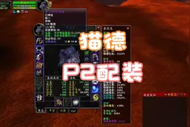 魔兽世界怀旧服 猫德P2配装视频封面