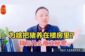 高桢迪：全自动养猪大楼，开启养殖商业新模式！这能赚大发吗？视频封面