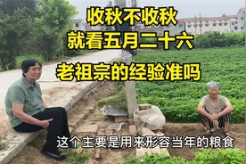 俗语“收秋不收秋，就看五月二十六”啥意思？老祖宗的经验还准吗视频封面
