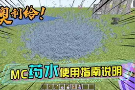 MC药水使用说明大全，带你从零开始了解药水特性