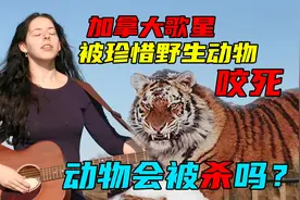 如果人被熊猫攻击，人可以把它打死了吗？真实案例令人深思！视频封面