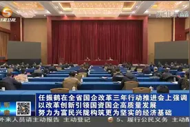 任振鹤出席甘肃省国企改革三年行动推进会并讲话视频封面