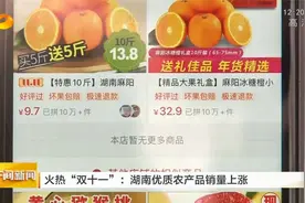 火热“双十一”：湖南优质农产品销量上涨视频封面