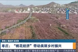 枣庄市第六届桃花节在山亭区拉开帷幕，“桃花经济”带动乡村振兴视频封面