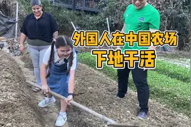 老外在中国农场体验种地，开小拖拉机有大门道，嘉妮在田里怕的是视频封面