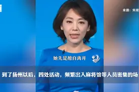 央视主播评害惨扬州的南京老太：对社会不负责，法律就让你负责视频封面