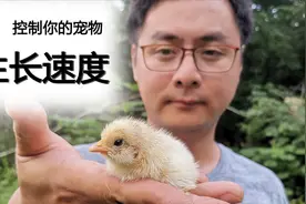 别再对照狗狗身高体重表了，减缓速度发育更均衡#激萌奖金计划#视频封面