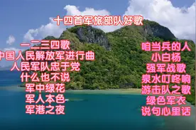 十四首军旅部队好歌《一二三四歌》《人民军队忠于党》《小白杨》视频封面