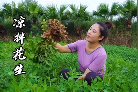 小向花3个小时剥一碗嫩花生，简单调味，做一盘下酒必备小菜！