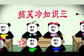 为什么酒店床上要放4个枕头，这回终于明白了视频封面