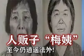 人贩子“梅姨”依然逍遥法外，9个孩子下落不明，家人生不如死！视频封面