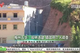 梅州五华：毁林违建 镇政府介入调查视频封面