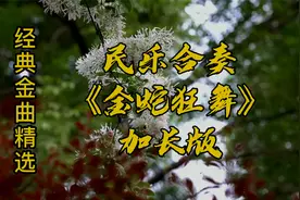 民乐合奏《金蛇狂舞》动听的曲声令人心旷神怡 民族乐器就是好听视频封面