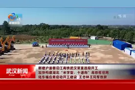新建沪渝蓉沿江高铁武汉至宜昌段开工视频封面