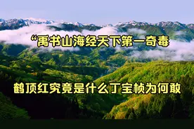 “禹书山海经天下第一奇毒”鹤顶红究竟是什么丁宝桢为何敢视频封面