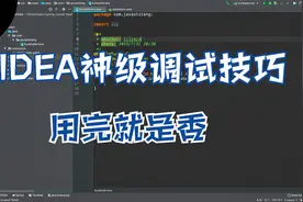 Idea神级调试技巧，用完就是香视频封面