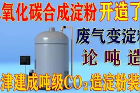 二氧化碳合成淀粉开造了！天津建成吨级中试装置，废气真要变淀粉视频封面
