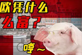 北欧凭什么这么富？让丹麦人的猪告诉你，北欧人“另类”致富经视频封面