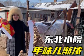 南方妹远嫁北大荒，第一次在东北过年，这年味儿跟湖南有什么不同视频封面